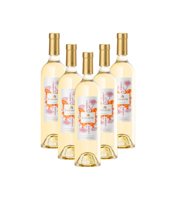L'INSTANT BLANC