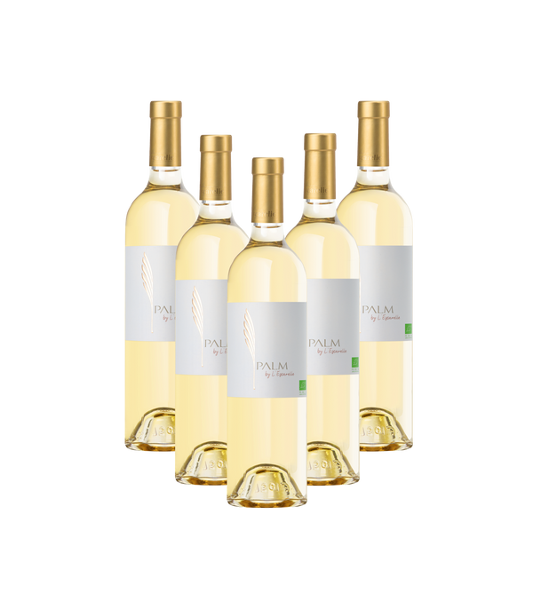PALM BLANC