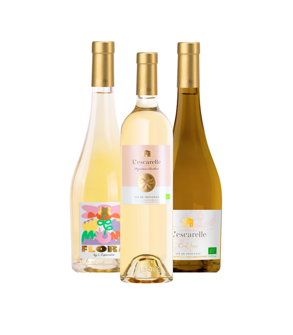 BOX DÉCOUVERTE - Vins Blancs