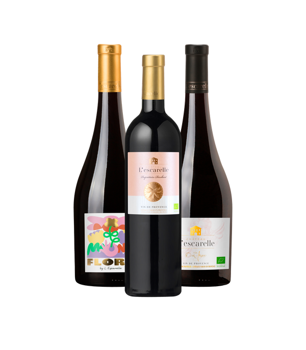 BOX DÉCOUVERTE - Vins Rouges